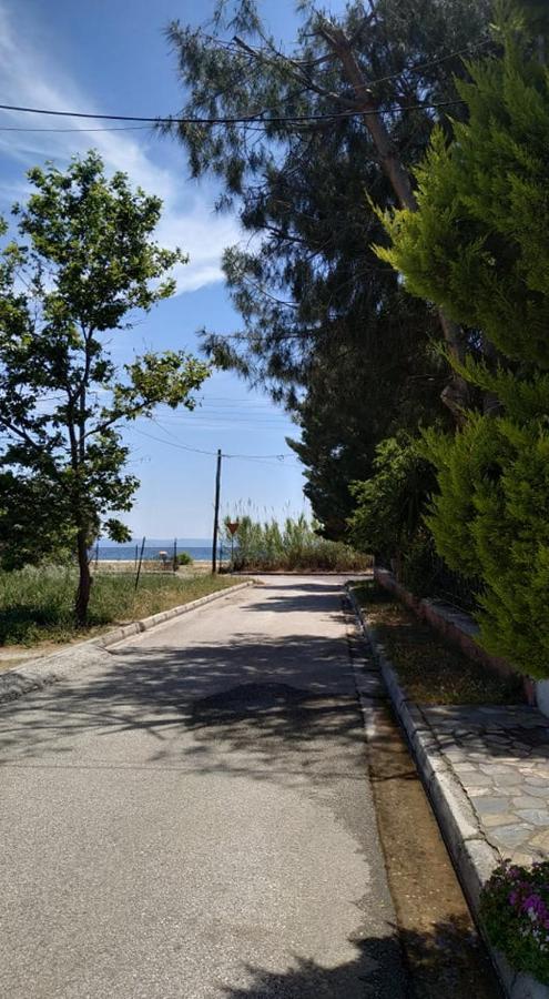 Apartment Near The Sea, Volos Esterno foto